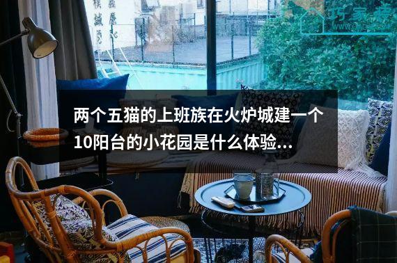 两个五猫的上班族在火炉城建一个10阳台的小花园是什么体验？