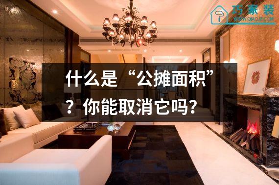 什么是“公摊面积”？你能取消它吗？