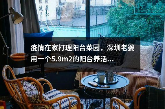 疫情在家打理阳台菜园，深圳老婆用一个5.9m2的阳台养活全家。